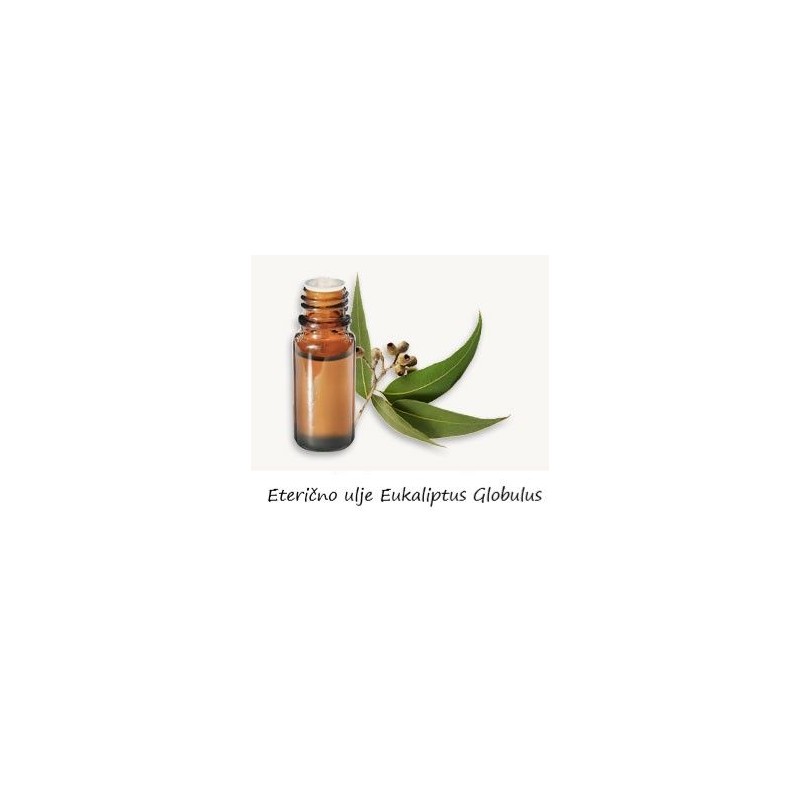 Eukaliptus globulus 10 ml eterično ulje