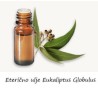 Eukaliptus globulus 10 ml eterično ulje