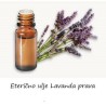 Lavanda prava 30 ml eterično ulje